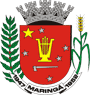 Bras&atilde;o da C&acirc;mara
